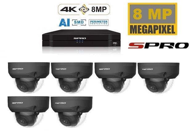 S-PRO camerasysteem met 6 X 8 MP dome camera